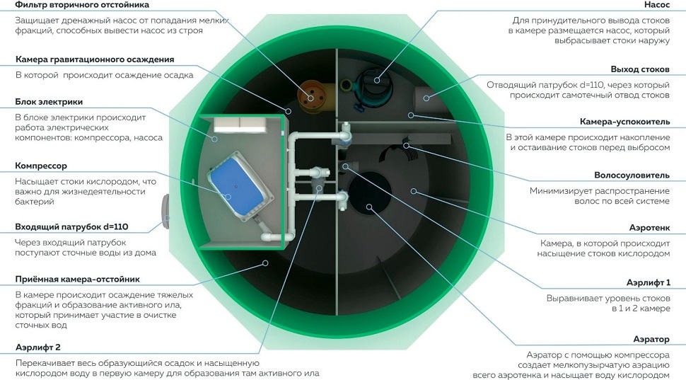 Септик Заубер 5